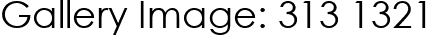 Gallery Image: 313 1321