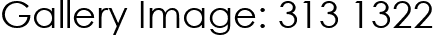 Gallery Image: 313 1322