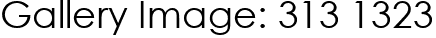 Gallery Image: 313 1323