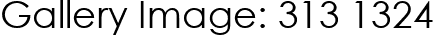 Gallery Image: 313 1324