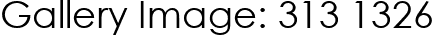 Gallery Image: 313 1326