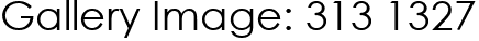 Gallery Image: 313 1327