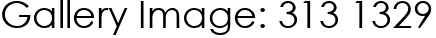 Gallery Image: 313 1329