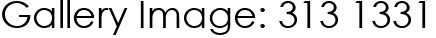 Gallery Image: 313 1331