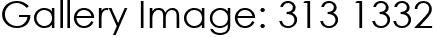 Gallery Image: 313 1332