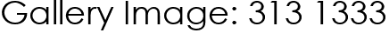 Gallery Image: 313 1333