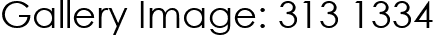 Gallery Image: 313 1334