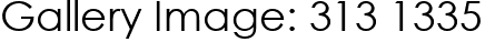 Gallery Image: 313 1335
