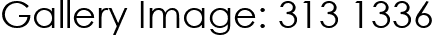 Gallery Image: 313 1336