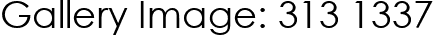 Gallery Image: 313 1337