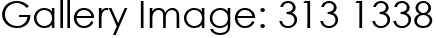 Gallery Image: 313 1338