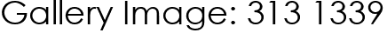 Gallery Image: 313 1339