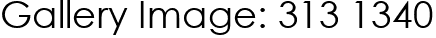 Gallery Image: 313 1340