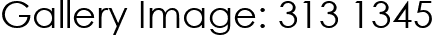 Gallery Image: 313 1345