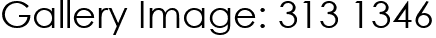 Gallery Image: 313 1346