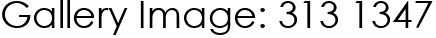 Gallery Image: 313 1347