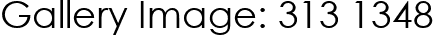 Gallery Image: 313 1348