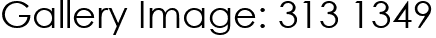 Gallery Image: 313 1349