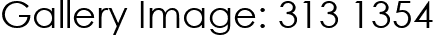 Gallery Image: 313 1354