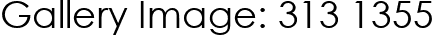 Gallery Image: 313 1355