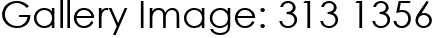 Gallery Image: 313 1356