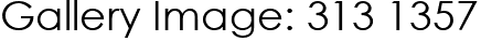 Gallery Image: 313 1357