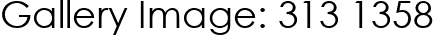 Gallery Image: 313 1358