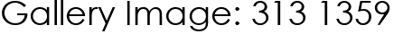 Gallery Image: 313 1359