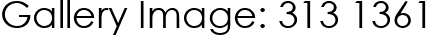 Gallery Image: 313 1361