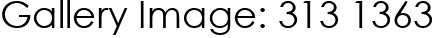Gallery Image: 313 1363
