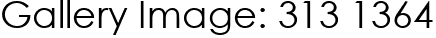 Gallery Image: 313 1364