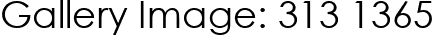 Gallery Image: 313 1365