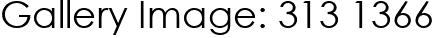 Gallery Image: 313 1366