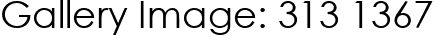 Gallery Image: 313 1367