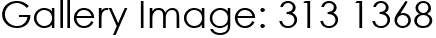 Gallery Image: 313 1368