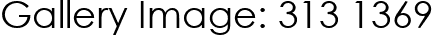 Gallery Image: 313 1369