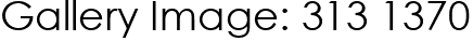 Gallery Image: 313 1370