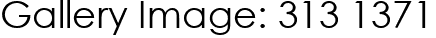 Gallery Image: 313 1371