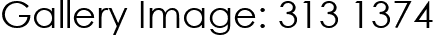 Gallery Image: 313 1374