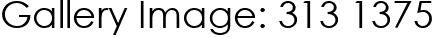 Gallery Image: 313 1375