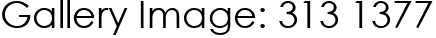 Gallery Image: 313 1377