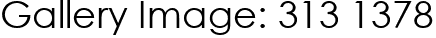 Gallery Image: 313 1378