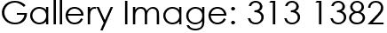 Gallery Image: 313 1382