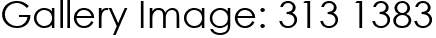 Gallery Image: 313 1383