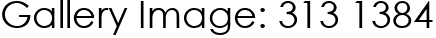 Gallery Image: 313 1384