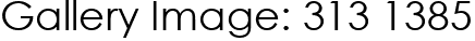 Gallery Image: 313 1385