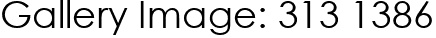 Gallery Image: 313 1386