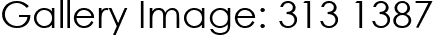 Gallery Image: 313 1387