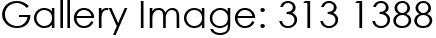 Gallery Image: 313 1388