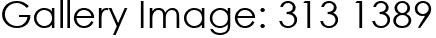 Gallery Image: 313 1389